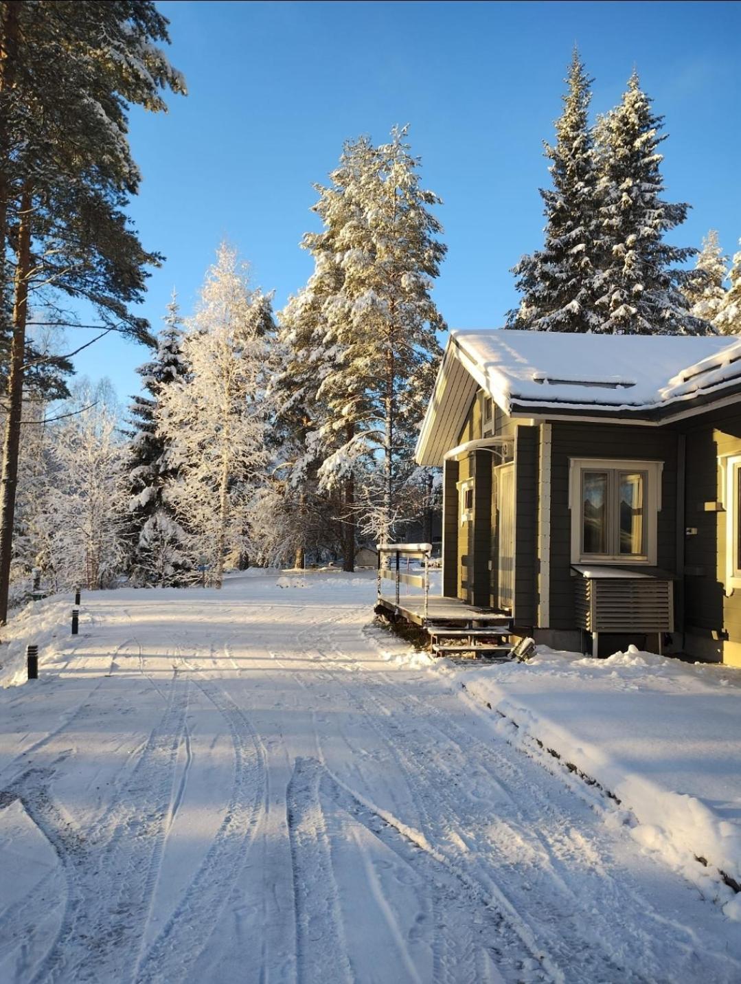 Villa Aleksi With Sauna Rovaniemi Kültér fotó